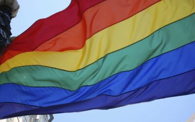 LGBTQIA+ Counselling & Support